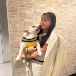 Aya Omasa Instagram - 生きとし生けるもの 本日夜8時から放送です！ 昨日は会見があり、皆さんの撮影時のエピソードや思いを聞き胸が熱くなりました。 GW最終日 🏠で是非！ そして、テレビ東京と言えば 長年お世話になったどうぶつピース のぴーすが応援にかけつけてくれました😭✨ 昨日の衣装は dress #BrunelloCucinelli jewelry #bvlgari
