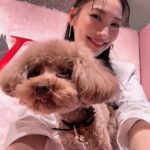 Aya Omasa Instagram - ヴァレンティノ ガラヴァーニ “ロックスタッズ ペット”インストアイベントになちゅと行ってきました🐶❤️ 毎回🐶と一緒に行けるこのイベントが楽しみに…！ 鞄や靴にイニシャルと絵を描いてもらえる期間限定ショップ、是非遊びに行ってみて下さい✨🦜🐇🐈 #RockstudPet #ValentinoGaravani @MaisonValentino #pr ヴァレンティノ 銀座にて、 5月12日（日）まで開催中🐶❤️