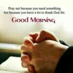 Ayesha Takia Instagram - Have a gorgeous day everyone! 😊💙