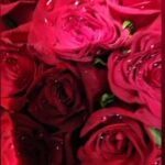 Ayesha Takia Instagram -