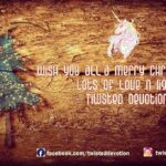 Ayesha Takia Instagram - Wish u all a verrrrry merrrrryyyy christmas🌲🎅🏻💖🦄