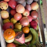 Bárbara Lombardo Instagram - 1. Dos gatitos enamorados 2. Hay equipo 🍀✨🧿 3. Post pastas 💜 4. En la ofi 5. Mis verduras y frutas orgánicas @almazentiendaorganica_ 💞❤️ 6. Mi desayuno favorito.