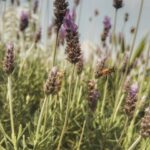 Bárbara Mori Instagram - Es tiempo de hacer una pausa y voltearte a ver, mírate al espejo. Que es lo que ves? Es tiempo de ponerte atención, escucharte, reconocerte y sanar tu corazón. Es tiempo de saber que es lo que tú alma desea para que construyas eso que haz venido a hacer en esta encarnación. Como dice @smayermori en su álbum “We One” en su sencillo : “Acalanto” “Siento que esta es nuestra oportunidad para ver la vida desde otro lugar. Me parece necesario empezar a cambiar. Actuar con amor. Imagina el resplandor. “ La vida es más allá de lo que podemos imaginar.