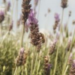 Bárbara Mori Instagram - Es tiempo de hacer una pausa y voltearte a ver, mírate al espejo. Que es lo que ves? Es tiempo de ponerte atención, escucharte, reconocerte y sanar tu corazón. Es tiempo de saber que es lo que tú alma desea para que construyas eso que haz venido a hacer en esta encarnación. Como dice @smayermori en su álbum “We One” en su sencillo : “Acalanto” “Siento que esta es nuestra oportunidad para ver la vida desde otro lugar. Me parece necesario empezar a cambiar. Actuar con amor. Imagina el resplandor. “ La vida es más allá de lo que podemos imaginar.