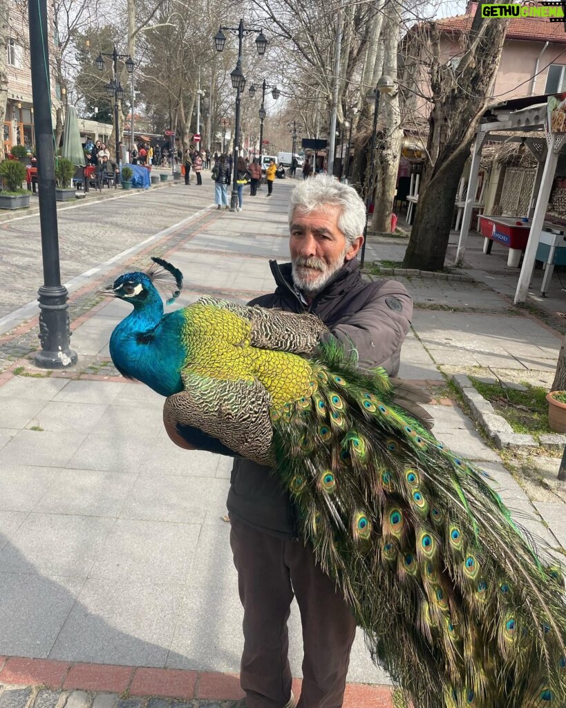 Büşra Develi Instagram - Edirne’den döndüm. Edirne aşağı yukarı böyle geçti. Daha anlatacak çok şey var ama onlar spoilera giriyor. Sonra anlatıcam. Şimdilik bu görsel şölen ile idare edin. 🧿 #kasaba