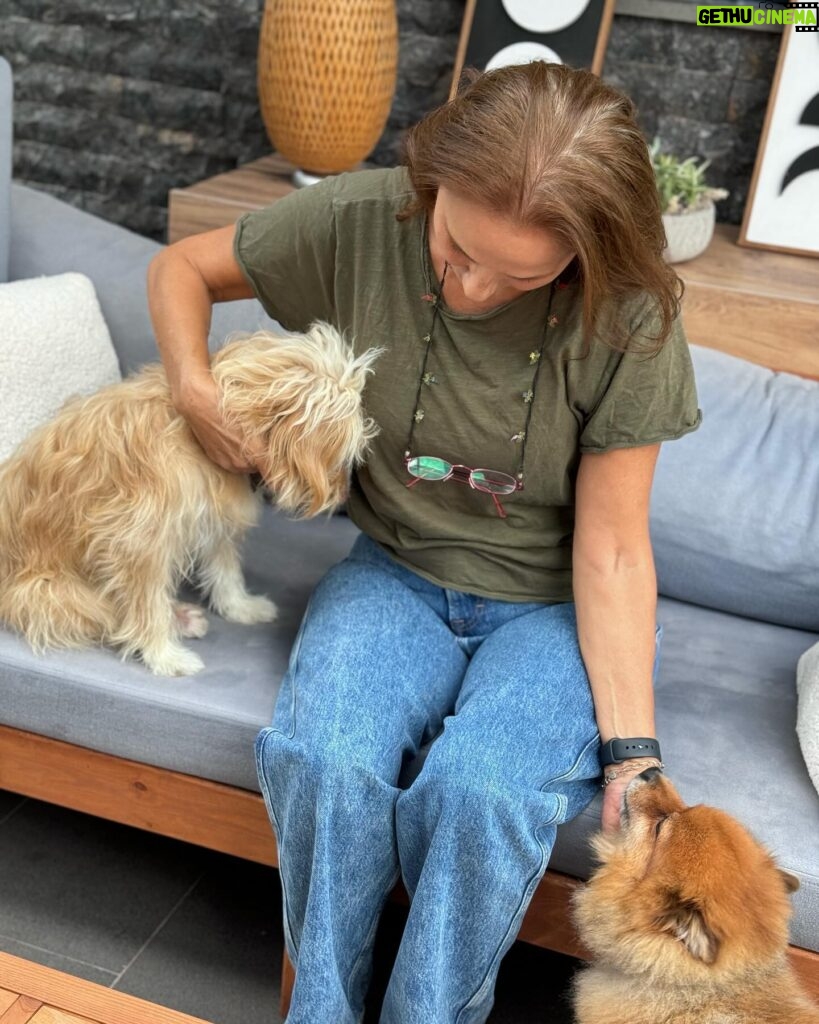 Başak Gümülcinelioğlu Instagram - Ben hayatta en çok seni görmeyi, sana dönmeyi, sana benzemeyi sevdiğimi fark ettim… İyi ki doğdun annem, hayatımın ilk şükür sebebi sensin. Varlığın paha biçilemez bir ışık, hayatlarımızın Neşesisin. Allah seni yanımızdan, canımızdan eksik etmesin 🤍 @nsgmlcnli 🧿 (Son fotoğrafı içimiz ısınsın, yüzümüze bir gülücük gelsin, ne kadar şanslı olduğumuzu hatırlayalım diye koydum. Öyle yapalım 😌)