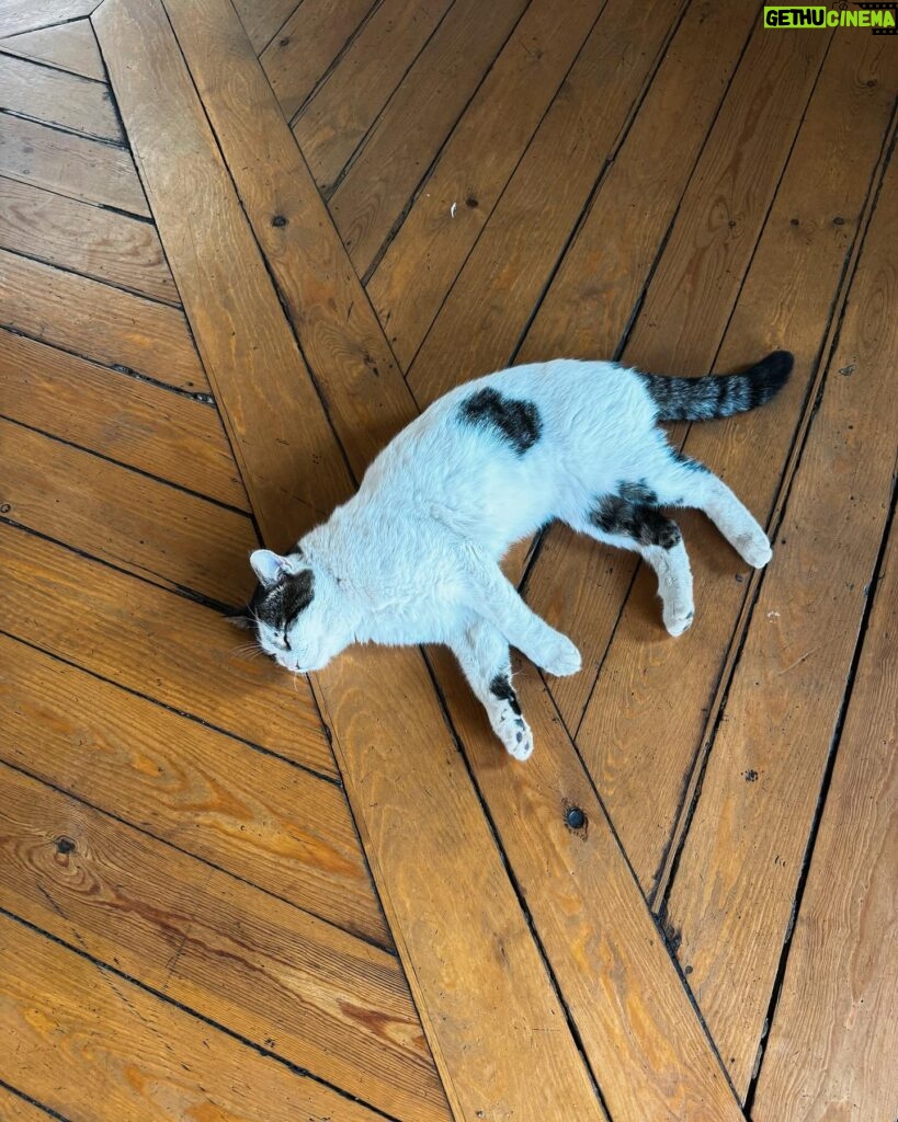Başak Gümülcinelioğlu Instagram - Ben, bahar, kedi, sevdiğim bir moda ikonunun seçim kombini 🌳