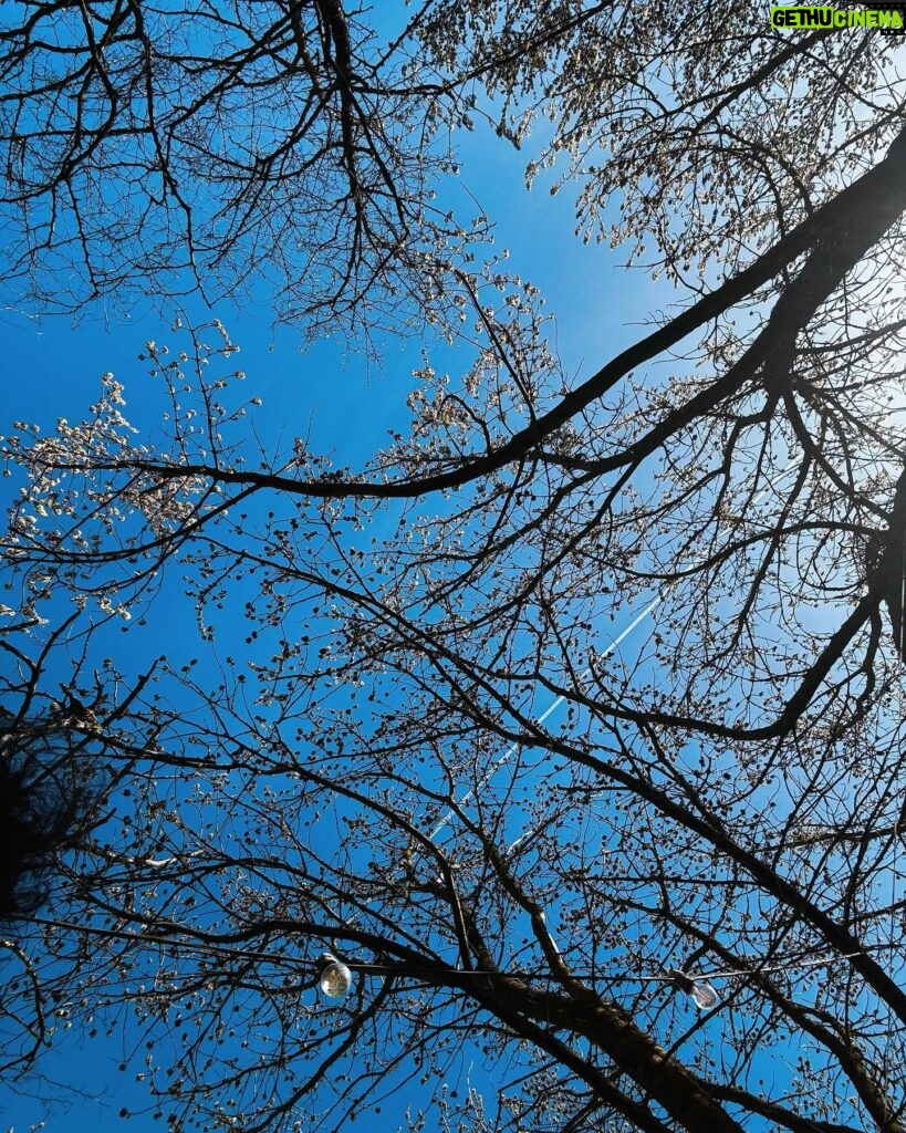 Başak Gümülcinelioğlu Instagram - Ben, bahar, kedi, sevdiğim bir moda ikonunun seçim kombini 🌳