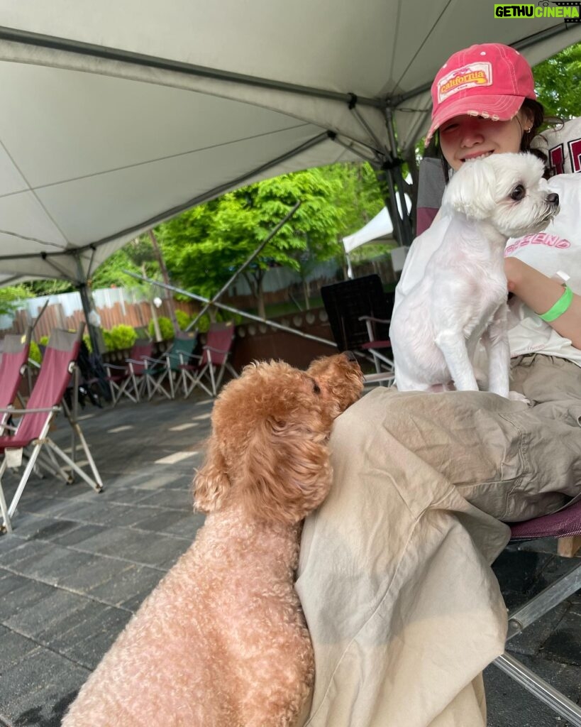 Bang Min-ah Instagram - 🌈🧸☺️❤️‍🔥🌿🌹☘️