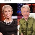 Barbara Corcoran Instagram - 2 facelifts & 100 deals later…