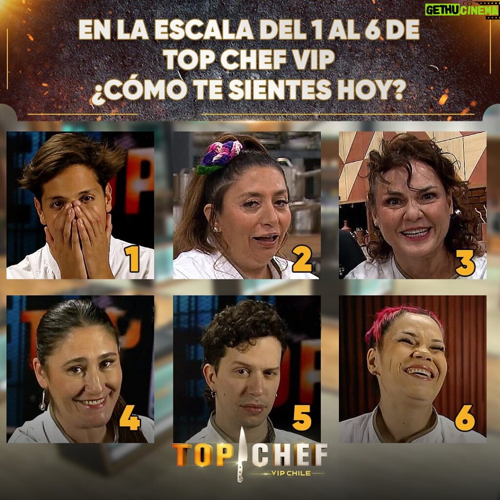 Belén Mora Instagram - ¿Cómo Máximo,Pincoya, Berta, Belén, Alonso o Zapallito?😂 Escríbelo en los comentarios👇👀 #TopChefCHV 🔪