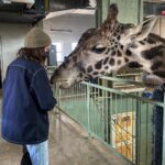 Bella Ramsey Instagram - The first time I met Nabo. We fell in love. #thelastofus @thelastofus @hbomax 🦒
