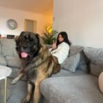Belle Hassan Instagram - Christmas dump 🏴󠁧󠁢󠁳󠁣󠁴󠁿🎄🎅🏼❄️🐶🤍