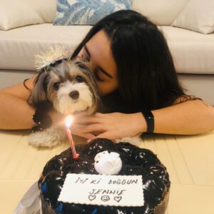 Beren Gökyıldız Instagram - Jennie 1 yaşında❤️❤️❤️ İyiki doğmuş jennie🎊🎀💘 🐶 #morkie @elityavru