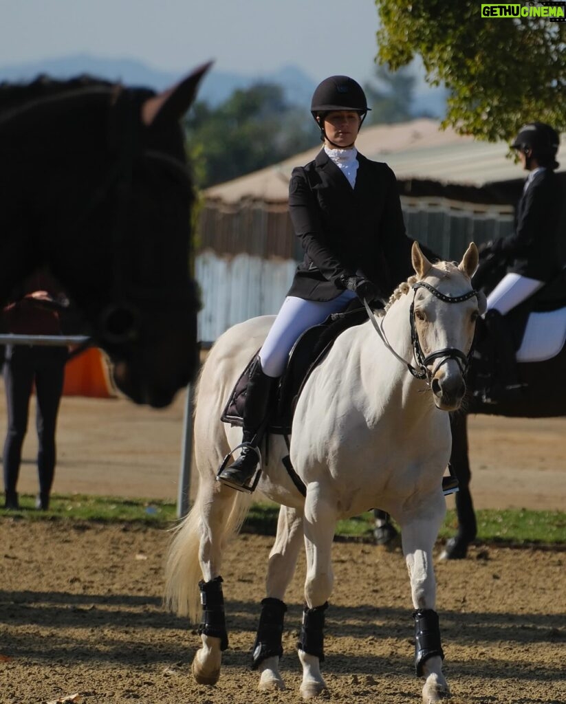 Beth Behrs Instagram - From a kill pen awaiting slaughter in Texas... to blue ribbons! Nutter Butter and I both made our DEBUT in the show ring together yesterday and it was magical. Thank you to @jessielochrie_ and @onceuponahorse for turning this Cowgirl English and introducing me to the incredible @dressagecanbefun - who not only saved Nutter Butter's life and turned him into a superstar, but also made this Cowgirl fall madly in love with #dressage! I am so grateful to everyone for making my first show, and Nutter's, so incredibly memorable. See? #RescueHorses can win blue ribbons! #whorescuedwho #horse #horsegirl #equestrian #equestrianlifestyle