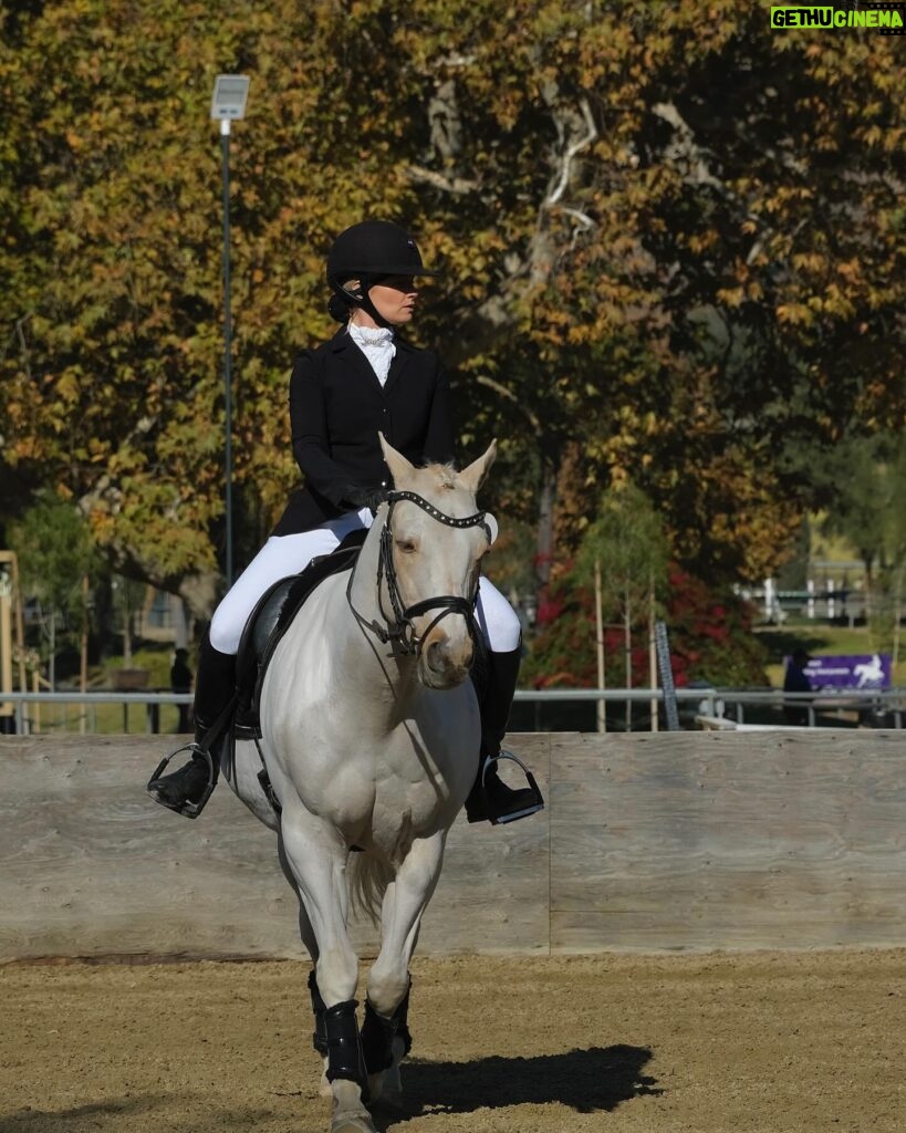 Beth Behrs Instagram - From a kill pen awaiting slaughter in Texas... to blue ribbons! Nutter Butter and I both made our DEBUT in the show ring together yesterday and it was magical. Thank you to @jessielochrie_ and @onceuponahorse for turning this Cowgirl English and introducing me to the incredible @dressagecanbefun - who not only saved Nutter Butter's life and turned him into a superstar, but also made this Cowgirl fall madly in love with #dressage! I am so grateful to everyone for making my first show, and Nutter's, so incredibly memorable. See? #RescueHorses can win blue ribbons! #whorescuedwho #horse #horsegirl #equestrian #equestrianlifestyle