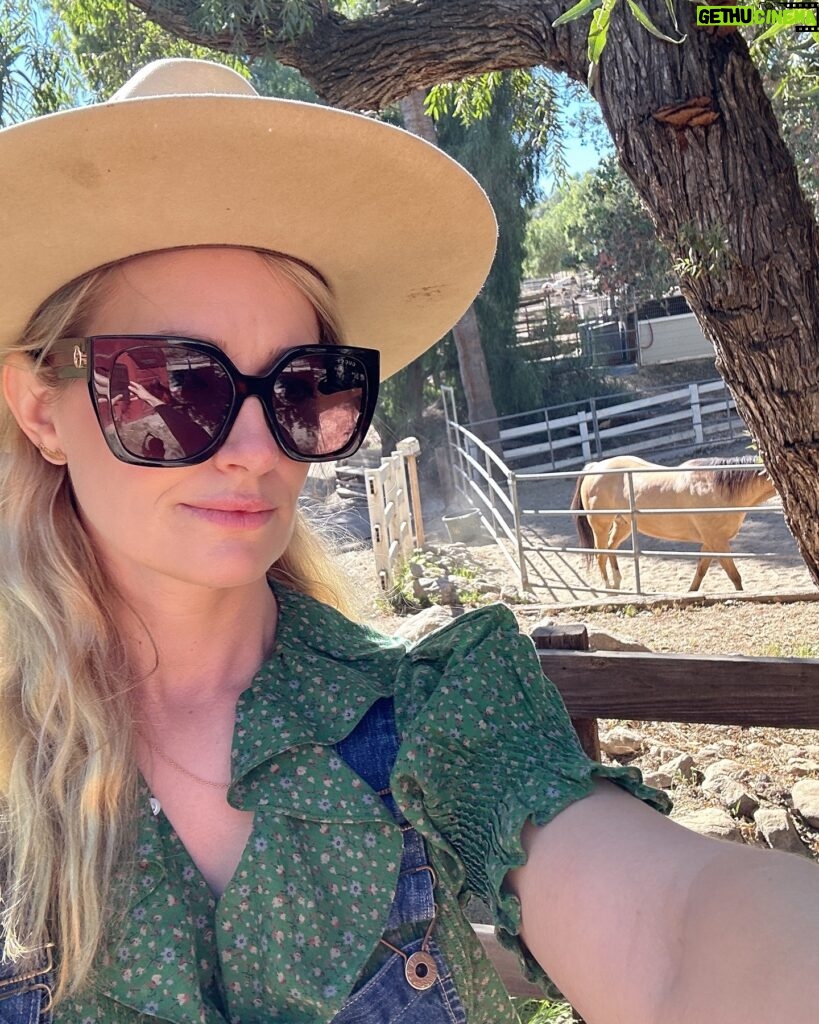 Beth Behrs Instagram - 🙋🏼‍♀️🐎💛