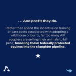 Beth Behrs Instagram - 🐴💔Swipe through to learn the truth about how The Bureau of Land Management's Adoption Incentive Program is impacting wild horses and burros. 💔🐎 Our investigation reveals a dire misuse of the $1,000 cash incentive, as these horses are being sent into the pipeline for slaughter as soon as their adopters receive the total reward. Let's stand together to protect the symbol of freedom and perseverance that these wild horses represent. 🗽 Repost: @freewildhorses #SaveWildHorses #KeepWildHorsesWild #ProtectOurIcons #StopTheSlaughter #WildHorseAdvocacy