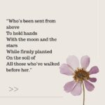 Beth Behrs Instagram - New @substackinc DEAR EGG poem for my daughter after a year together. Link in bio!💛🫶🏻