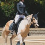 Beth Behrs Instagram - Riding into this new week like 🐎💛 #rescuehorse #dressage #equestrian #horse #horses #equestrianlife #usef #usdf #quarterhorse #horsepower