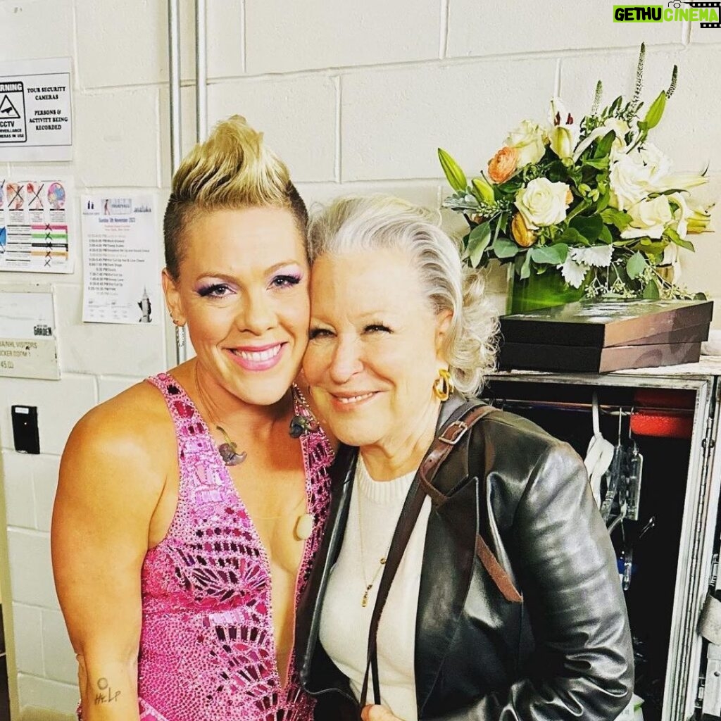 Bette Midler Instagram - @pink Rules! Last night my family and I finally saw this force of nature live, and our jaws were hanging open, from her first entrance to her extraordinary encore! She is so beloved. They cried. I cried. ‘Nuff said.