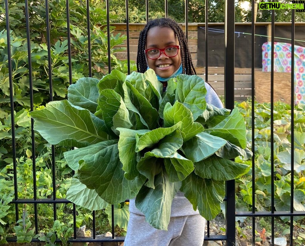 Bette Midler Instagram - Counting down the days... until our gardens are growing again! And we get beautiful produce like this from @nyrp's Riley-Levin and Williams Avenue Community Gardens.