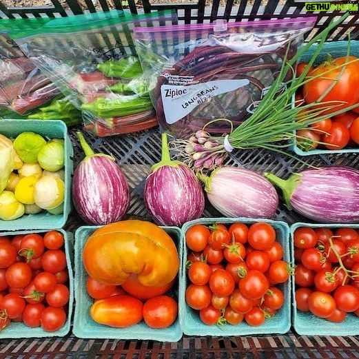 Bette Midler Instagram - Counting down the days... until our gardens are growing again! And we get beautiful produce like this from @nyrp's Riley-Levin and Williams Avenue Community Gardens.