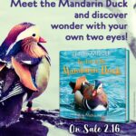 Bette Midler Instagram - Today's the day! Bring home THE TALE OF THE MANDARIN DUCK, my newest picture book! Link in bio. 📷 by @michi_kakutani ✍️ by @joanaavillez