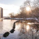 Bette Midler Instagram - Wishing you all peace this week from winter golden hour at @nyrp's Sherman Creek Park in New York City. Credit: @_benhider_