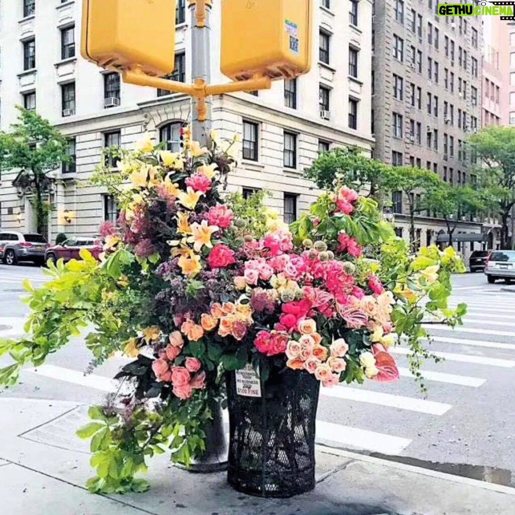 Bette Midler Instagram - ‪“You cannot help stopping, can't help lingering, can't help feeling. It turns out that the flowers are still blooming under the haze of the pandemic. It turns out that even though life is so fragile, it is still so beautiful!” (Lewis Miller Designs)‬