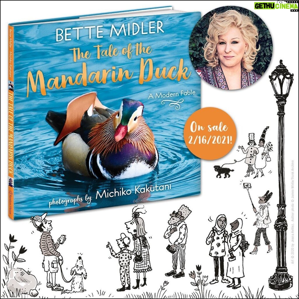 Bette Midler Instagram - I am so excited to announce my brand new picture book, THE TALE OF THE MANDARIN DUCK, on sale 2/16/2021! Inspired by the real-life Mandarin duck of Central Park, I wrote this book to challenge young readers to discover wonder with their own eyes. It is delightfully illustrated by @joanaavillez and features beautiful photographs by @michi_kakutani. It is available for pre-order from @RandomHouseKids at https://bit.ly/2DYMCKk.  (clickable link in the bio)