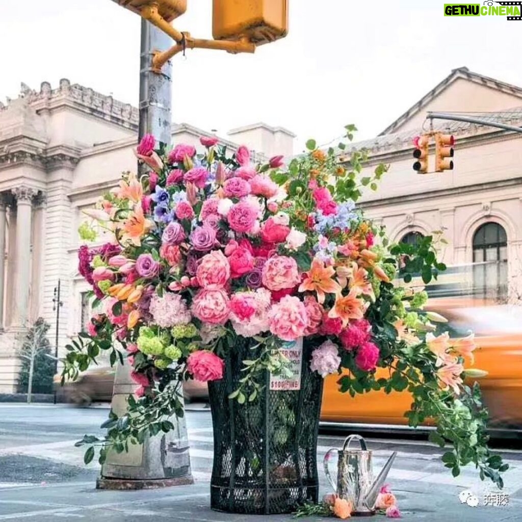 Bette Midler Instagram - Popping up all over NYC... Lewis Miller Designs.