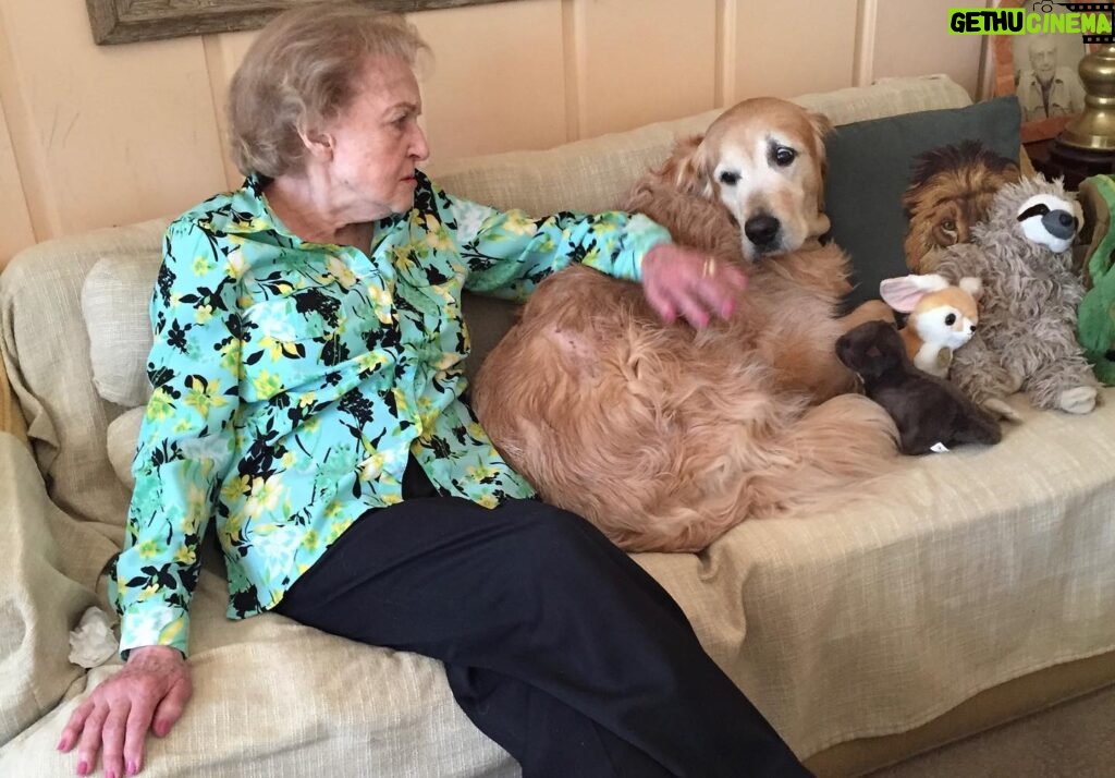 Betty White Instagram - We don’t want to miss out on International Dog Day so here is a personal favorite… Betty displaying “anger” when her beloved Pontiac jumped up on the couch with her because he didn’t want to go to the groomer 😁. In reality - nothing made her happier than cuddles with Ponti. ❤️❤️❤️