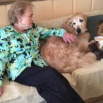 Betty White Instagram - We don’t want to miss out on International Dog Day so here is a personal favorite… Betty displaying “anger” when her beloved Pontiac jumped up on the couch with her because he didn’t want to go to the groomer 😁. In reality - nothing made her happier than cuddles with Ponti. ❤️❤️❤️