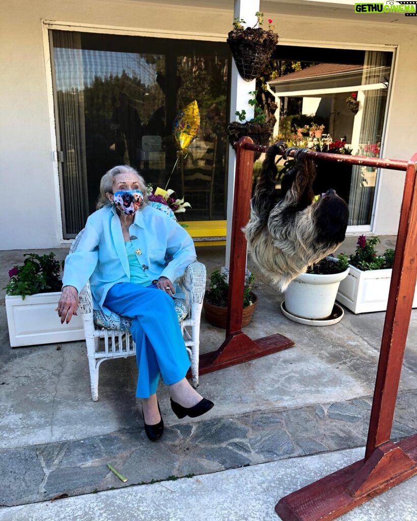Betty White Instagram - Happy International Sloth Day!!! Betty’s 99th Birthday occurred during the pandemic so we couldn’t do a big celebration, but our friends Wildlife Learning Center generously offered to supply a surprise guest Sloth to mark the occasion! Betty was THRILLED!