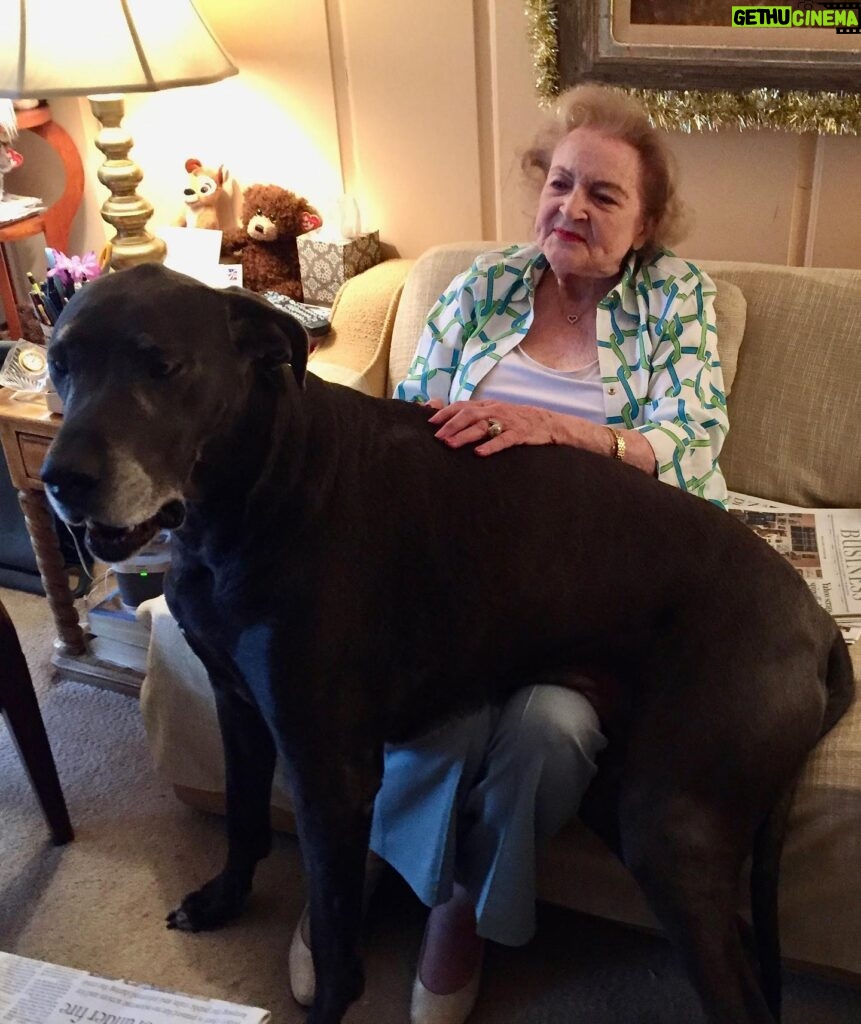 Betty White Instagram - It’s Taco Tuesday!!!! Well, Betty wasn’t big on tacos, but she loved spending time with this big girl - Bella, the loveliest of Great Danes.