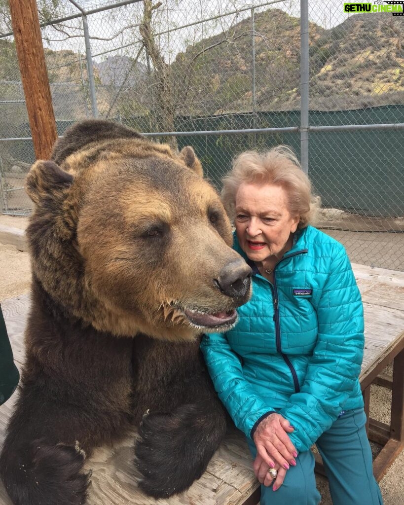 Betty White Instagram - Returning from hiatus with a bittersweet post. This boy has been reunited with this lady, who loved him so dearly. 🌈🌈🌈 Bam Bam was just a spectacular creature. He will be dearly missed by all those who loved him. ❤️❤️