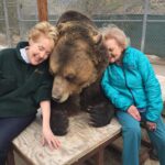 Betty White Instagram - Returning from hiatus with a bittersweet post. This boy has been reunited with this lady, who loved him so dearly. 🌈🌈🌈 Bam Bam was just a spectacular creature. He will be dearly missed by all those who loved him. ❤️❤️