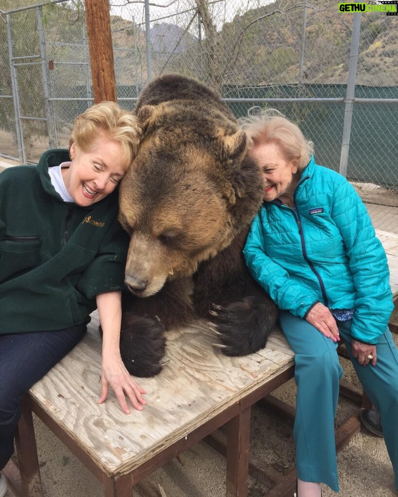 Betty White Instagram - Returning from hiatus with a bittersweet post. This boy has been reunited with this lady, who loved him so dearly. 🌈🌈🌈 Bam Bam was just a spectacular creature. He will be dearly missed by all those who loved him. ❤️❤️