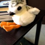 Betty White Instagram - Many people have asked if Betty really had a room full of stuffed animals. The answer is she had several! Here is a sampling of some of the friends who took up residence in our office over the years.