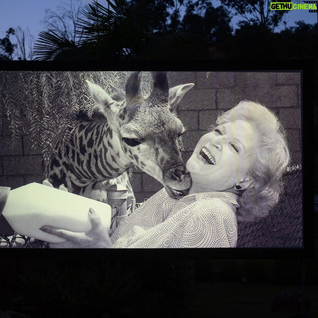 Betty White Instagram - (Temporarily interrupting hiatus)... Just a shout out to the absolutely lovely and delightful Noreen and her sweet pal, Ed! Noreen won the #Thankyouforbeingafriend sweepstakes at the #lazoo and got to attend the #BeastlyBall on Saturday night. The evening paid tribute to Betty, and was just wonderful in every way. So glad I got to meet Noreen & Ed - who just confirm what I always say --- Betty fans are THE BEST FANS! Photo credit: Jamie Pham/LA Zoo