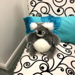 Betty White Instagram - Many people have asked if Betty really had a room full of stuffed animals. The answer is she had several! Here is a sampling of some of the friends who took up residence in our office over the years.