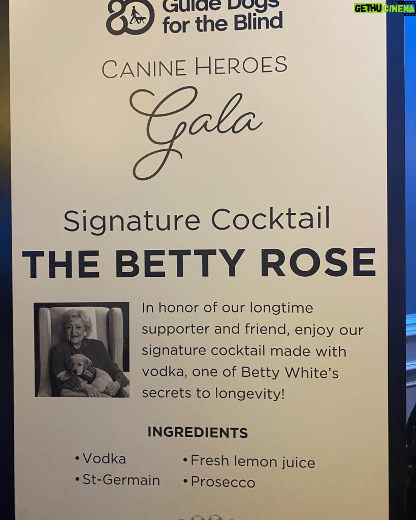 Betty White Instagram - Last night Guide Dogs for the Blind celebrated 80 years of service with a wonderful gala in San Francisco. They did special things throughout the evening to honor Betty, who was a long-time supporter. Fun fact: Betty’s golden retriever, Pontiac, was a career change guide dog who came from this organization. It’s truly special to see how much Betty contributed during her lifetime, and how beloved she continues to be - and that her legacy of giving is an inspiration to others ❤️