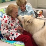 Betty White Instagram - Today’s fun photo memory. I took this photo a few years ago when the wonderful Georgia Engel visited our office with her friend, Shyla, the hybrid wild dog. 😍😍