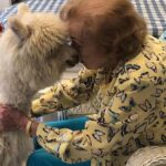 Betty White Instagram - In 2020, Jennifer Love Hewitt arranged for a COVID-safe visit from Whisper and Fable… two adorable alpacas. It was a truly magical day. @littlehorseontheprairie