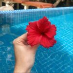 Beverly Bello Instagram - Bien arrivés dans ce coin de paradis aux Seychelles 🇸🇨. @hiltonseychelleslabriz 🏨