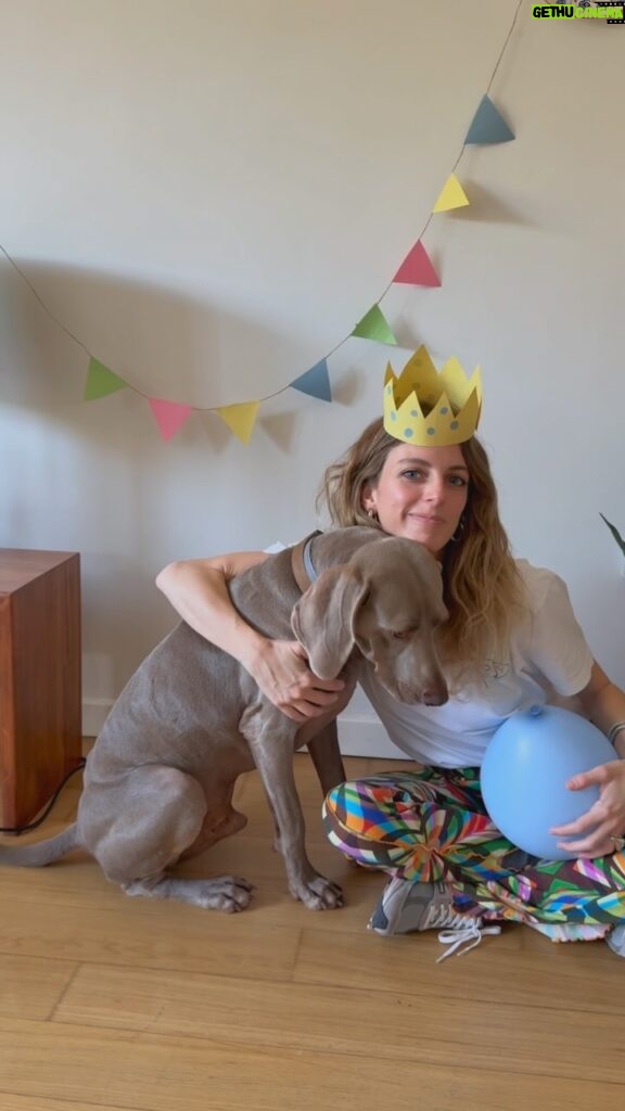 Bige Önal Instagram - Vinçiko 4 yaşında ve asla haberi yok🐶🎉 Bu yaşına kadar hep yanlış tarihte kutlamışız doğumgününü Vinci’nin. Ortaya çıktı ki gerçek doğumgünü bugünmüş.. Pastası, balonları ve hediye gelen kemiğiyle çok mutlu oldu😊 Happy child, happy mom🥹