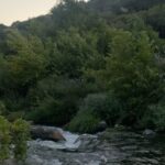 Bige Önal Instagram - An’ların postası, 2🌿