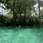 Bona Instagram - 천국인가🏝️🐬🌈☀️🦎🤍