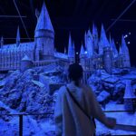 Bona Instagram - 🤍Happy Harry Christmas🪄🤍🎄♥️